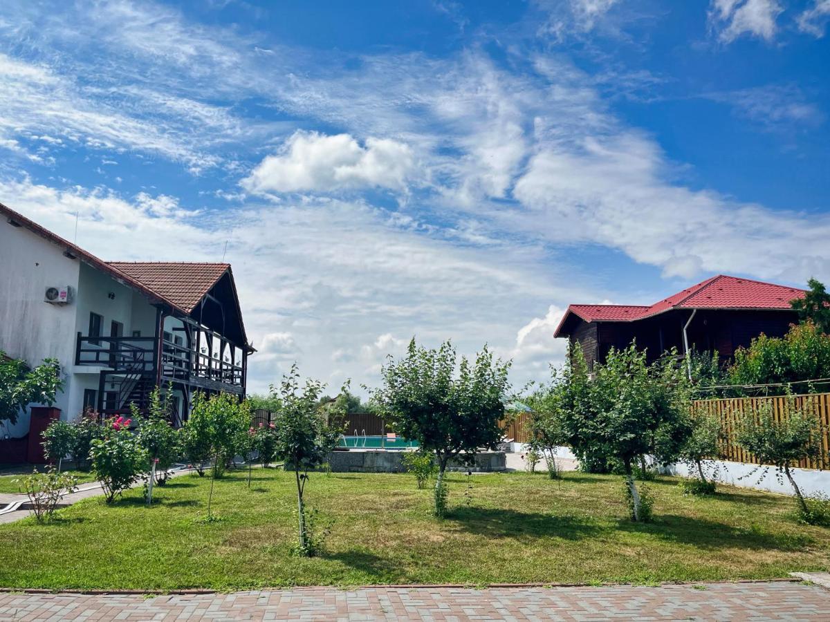 Pensiunea Crisan المظهر الخارجي الصورة